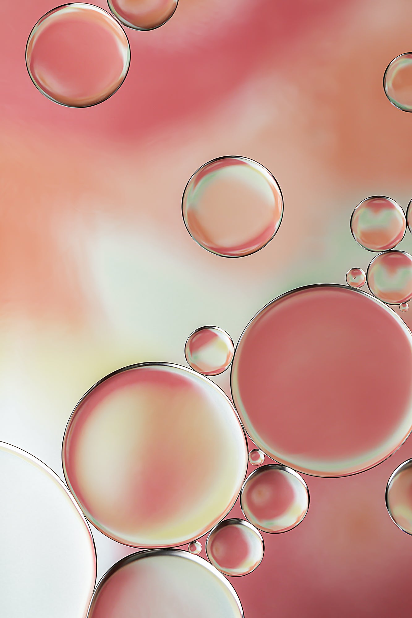 Experience captivating contemporary abstract art with "Blossoms 3." This gallery-quality macro photograph showcases the vibrant interplay of oil and water set against a colorful backdrop, offering a symphony of colors and intricate patterns. Standalone or paired with other Blossoms pieces, it's available as a long-lasting acrylic photo print. Perfect for enhancing your living or office space and inspiring conversations.
