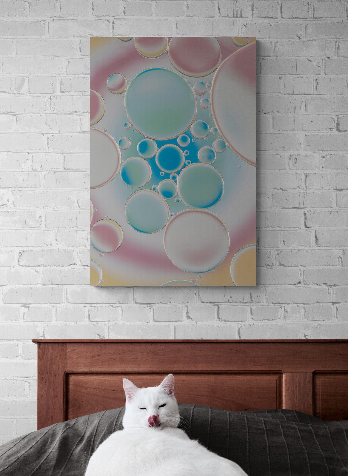 Rainbow Rhapsody 4 Acrylic Photo Print