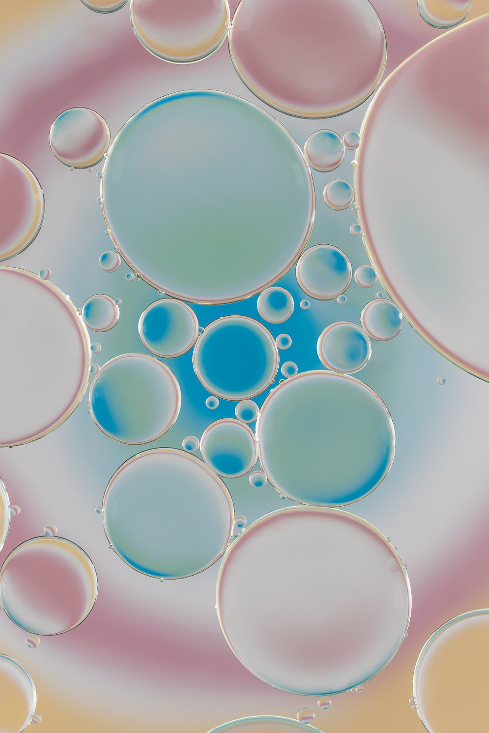Rainbow Rhapsody 4 Acrylic Photo Print