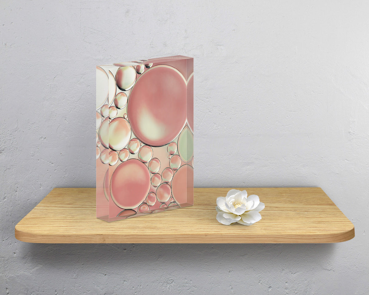 Quiet Blossoms 1 Studio Edition